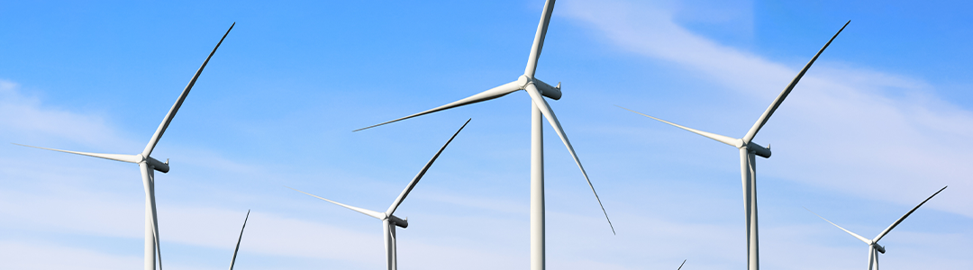 Windfarm Renewable Market